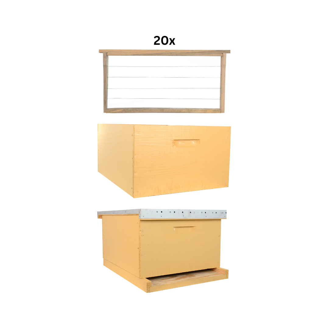 Caja Doble Langstroth 20 Cuadros 4 Caja Doble Langstroth 20 Cuadros